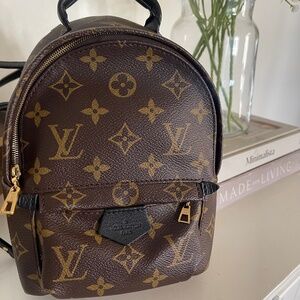 Louis Vuitton Palm Springs mini